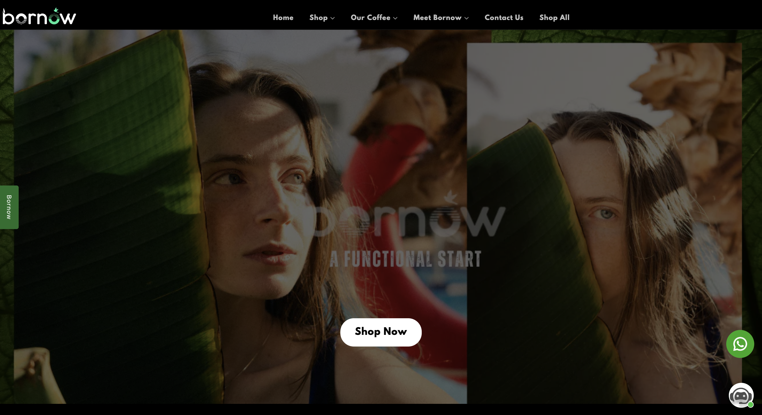 Bornow Growth Platform